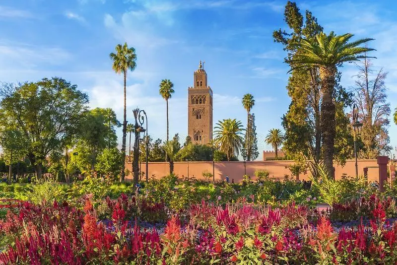 Bonheur Partage 1 0*, Marrakesh